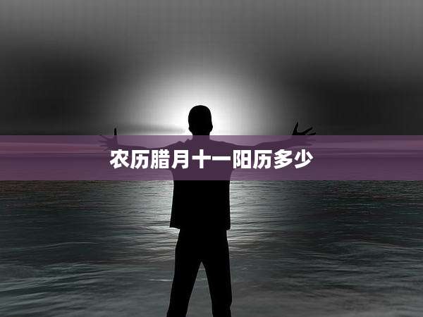 农历腊月十一阳历多少