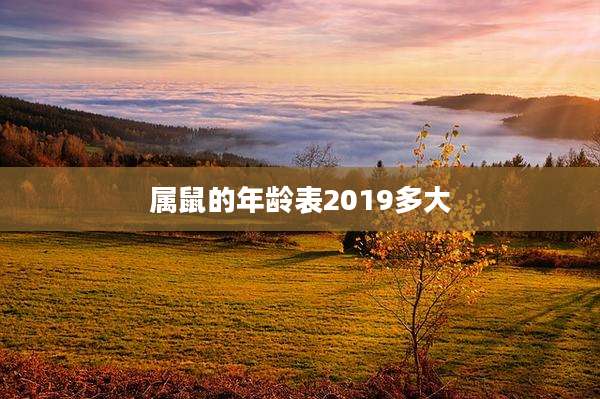 属鼠的年龄表2019多大