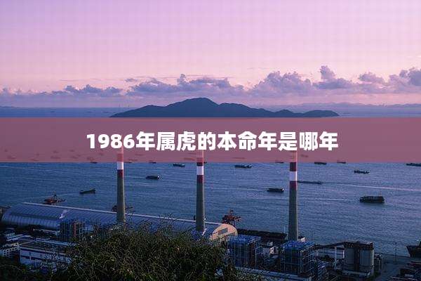 1986年属虎的本命年是哪年