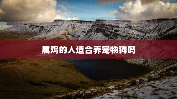 属鸡的人适合养宠物狗吗