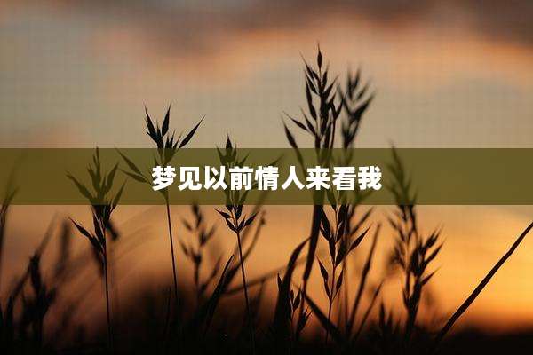 梦见以前情人来看我