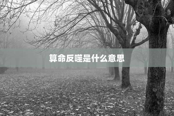 算命反噬是什么意思