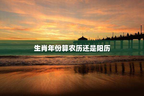 生肖年份算农历还是阳历