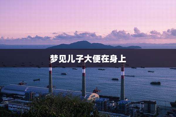 梦见儿子大便在身上