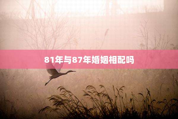 81年与87年婚姻相配吗