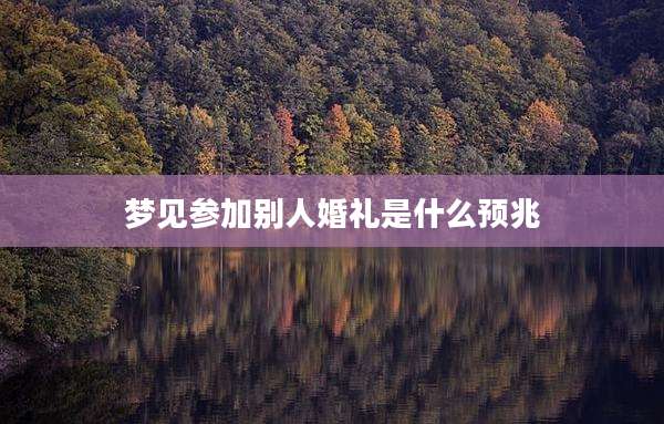 梦见参加别人婚礼是什么预兆