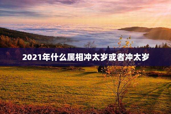 2021年什么属相冲太岁或者冲太岁