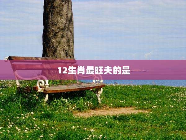 12生肖最旺夫的是