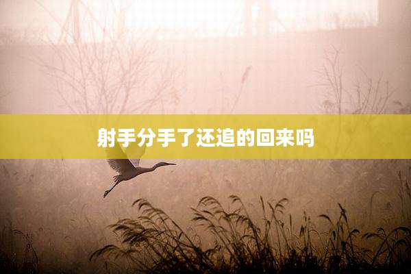 射手分手了还追的回来吗