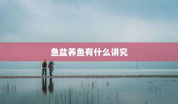 鱼盆养鱼有什么讲究