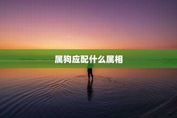 属狗应配什么属相