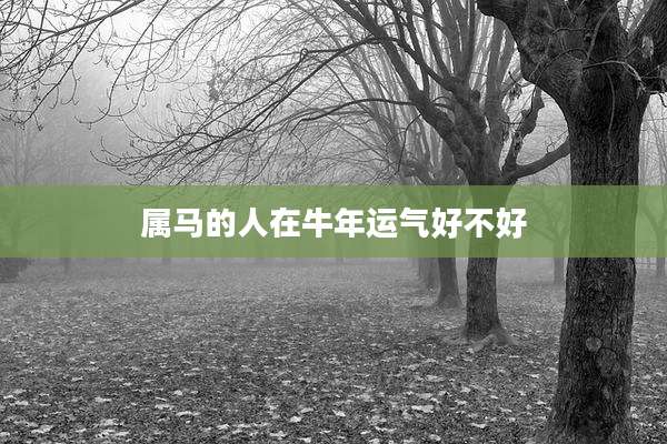 属马的人在牛年运气好不好