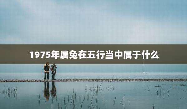 1975年属兔在五行当中属于什么