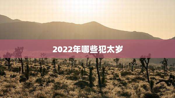 2022年哪些犯太岁