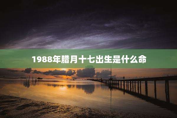 1988年腊月十七出生是什么命