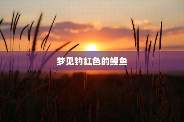 梦见钓红色的鲤鱼