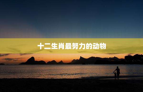 十二生肖最努力的动物