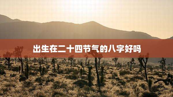 出生在二十四节气的八字好吗