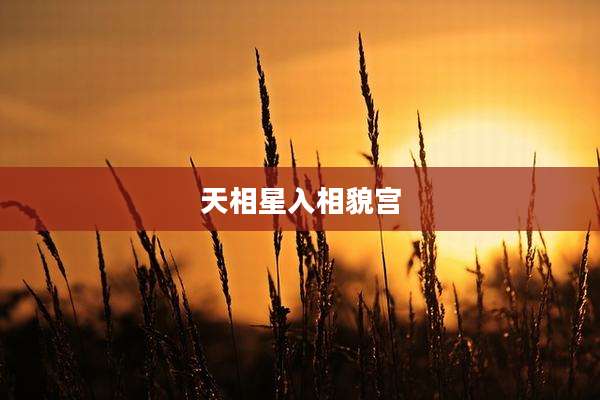 天相星入相貌宫