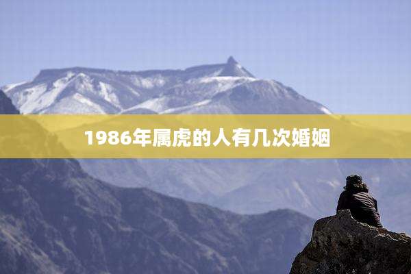 1986年属虎的人有几次婚姻