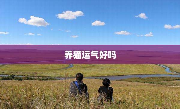 养猫运气好吗