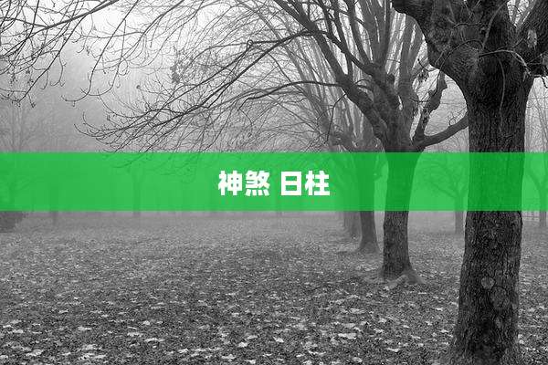 神煞 日柱