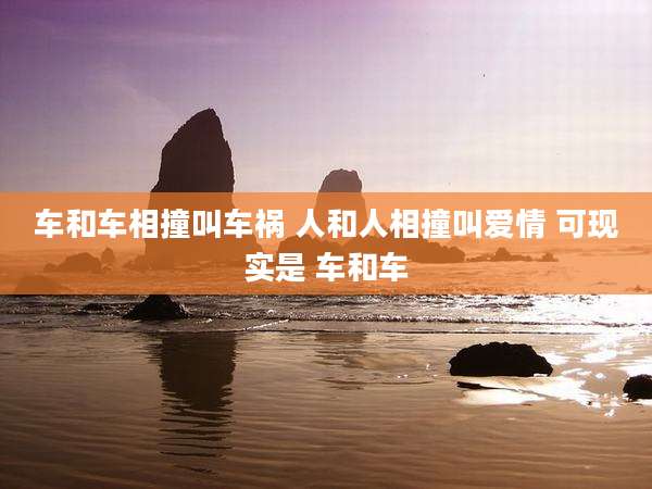 车和车相撞叫车祸 人和人相撞叫爱情 可现实是 车和车