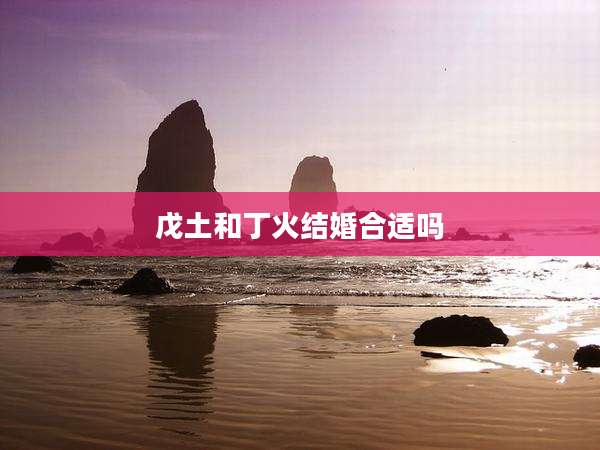 戊土和丁火结婚合适吗