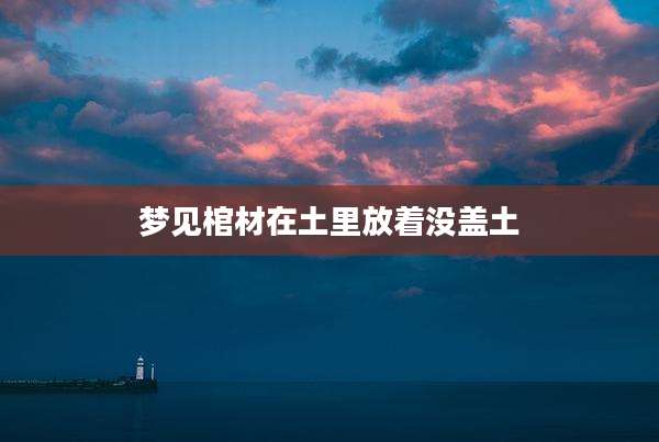 梦见棺材在土里放着没盖土