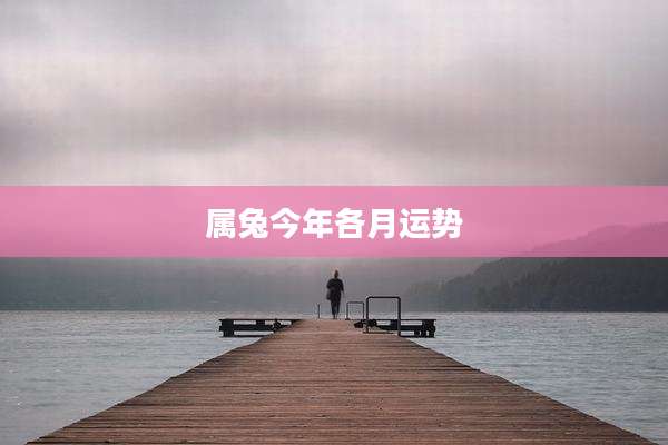 属兔今年各月运势