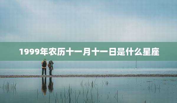 1999年农历十一月十一日是什么星座