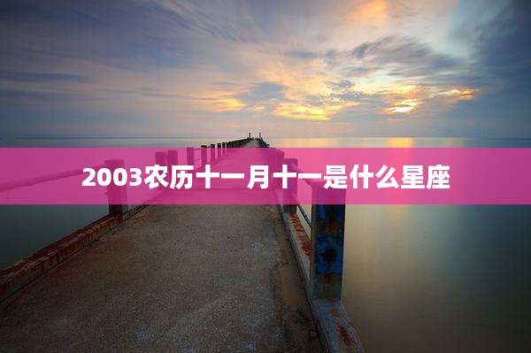 2003农历十一月十一是什么星座