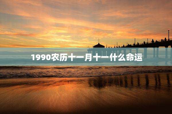 1990农历十一月十一什么命运