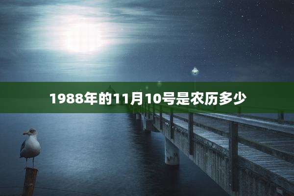 1988年的11月10号是农历多少