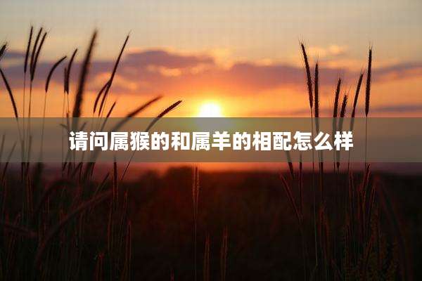 请问属猴的和属羊的相配怎么样