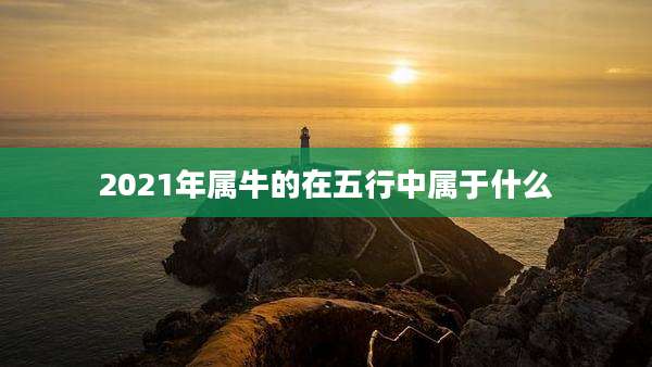 2021年属牛的在五行中属于什么