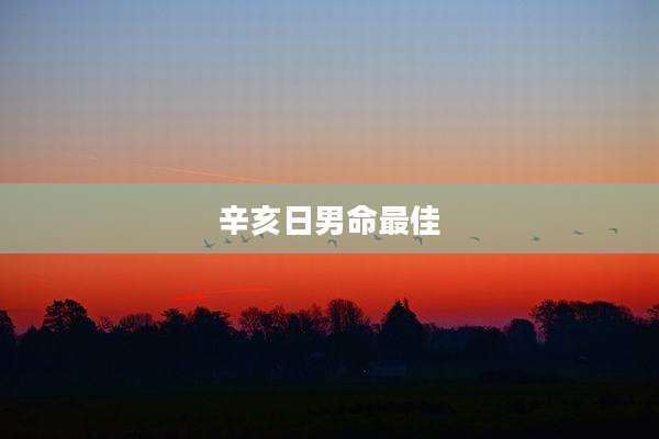 辛亥日男命最佳