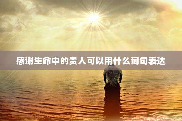 感谢生命中的贵人可以用什么词句表达