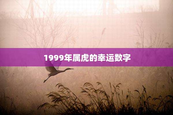 1999年属虎的幸运数字