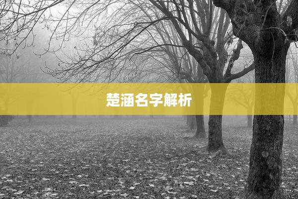 楚涵名字解析