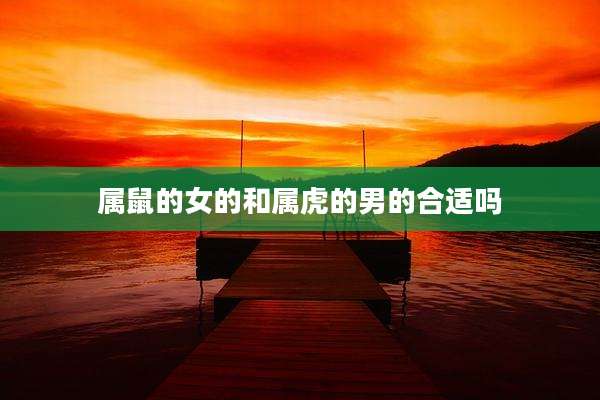 属鼠的女的和属虎的男的合适吗