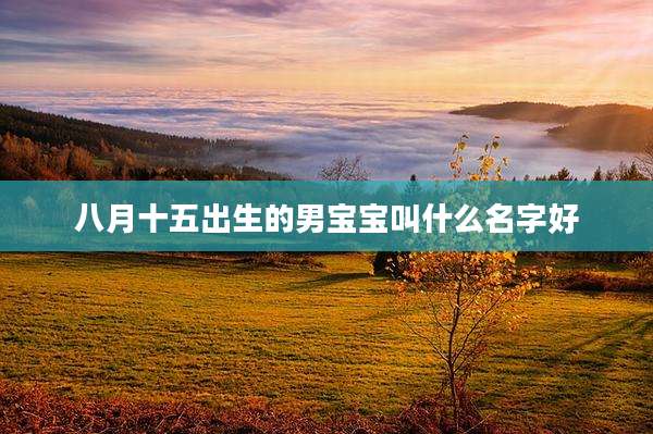 八月十五出生的男宝宝叫什么名字好