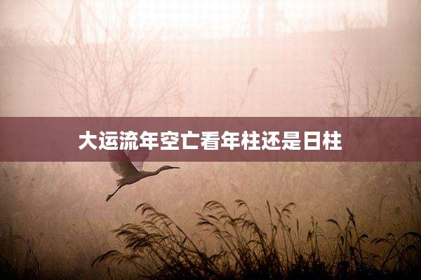 大运流年空亡看年柱还是日柱