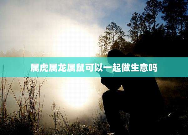 属虎属龙属鼠可以一起做生意吗