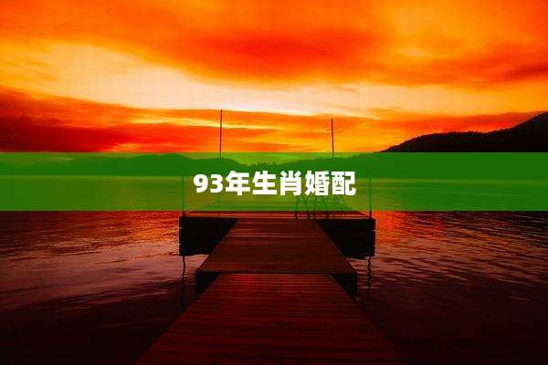 93年生肖婚配