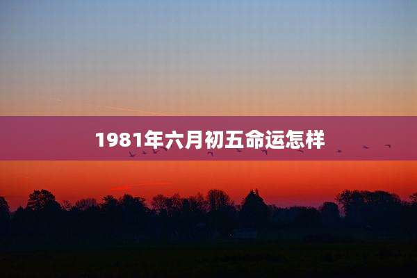 1981年六月初五命运怎样