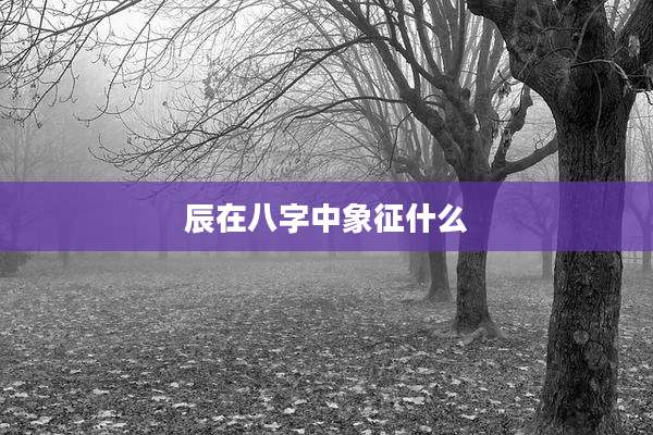 辰在八字中象征什么