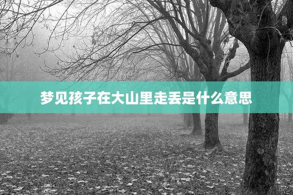 梦见孩子在大山里走丢是什么意思