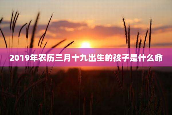 2019年农历三月十九出生的孩子是什么命