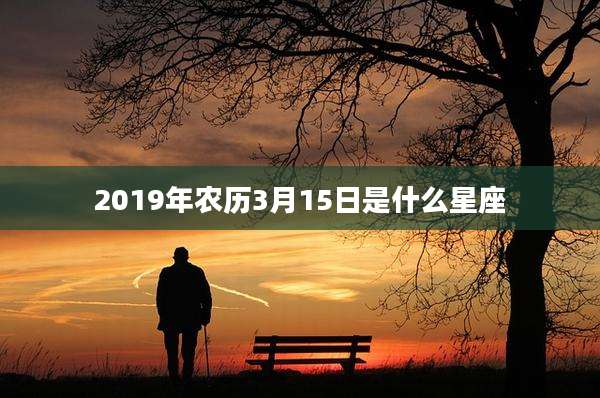 2019年农历3月15日是什么星座
